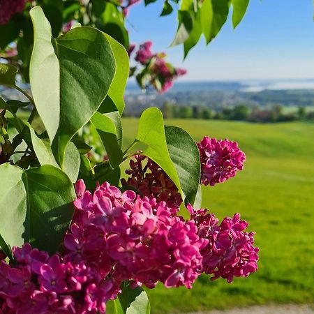 Schleipfnerhof Urlaub Auf Dem Bauernhof Villa Bernau am Chiemsee Luaran gambar